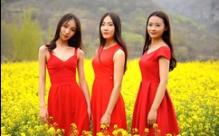 丝瓜秋葵草莓香蕉榴莲芒果大全